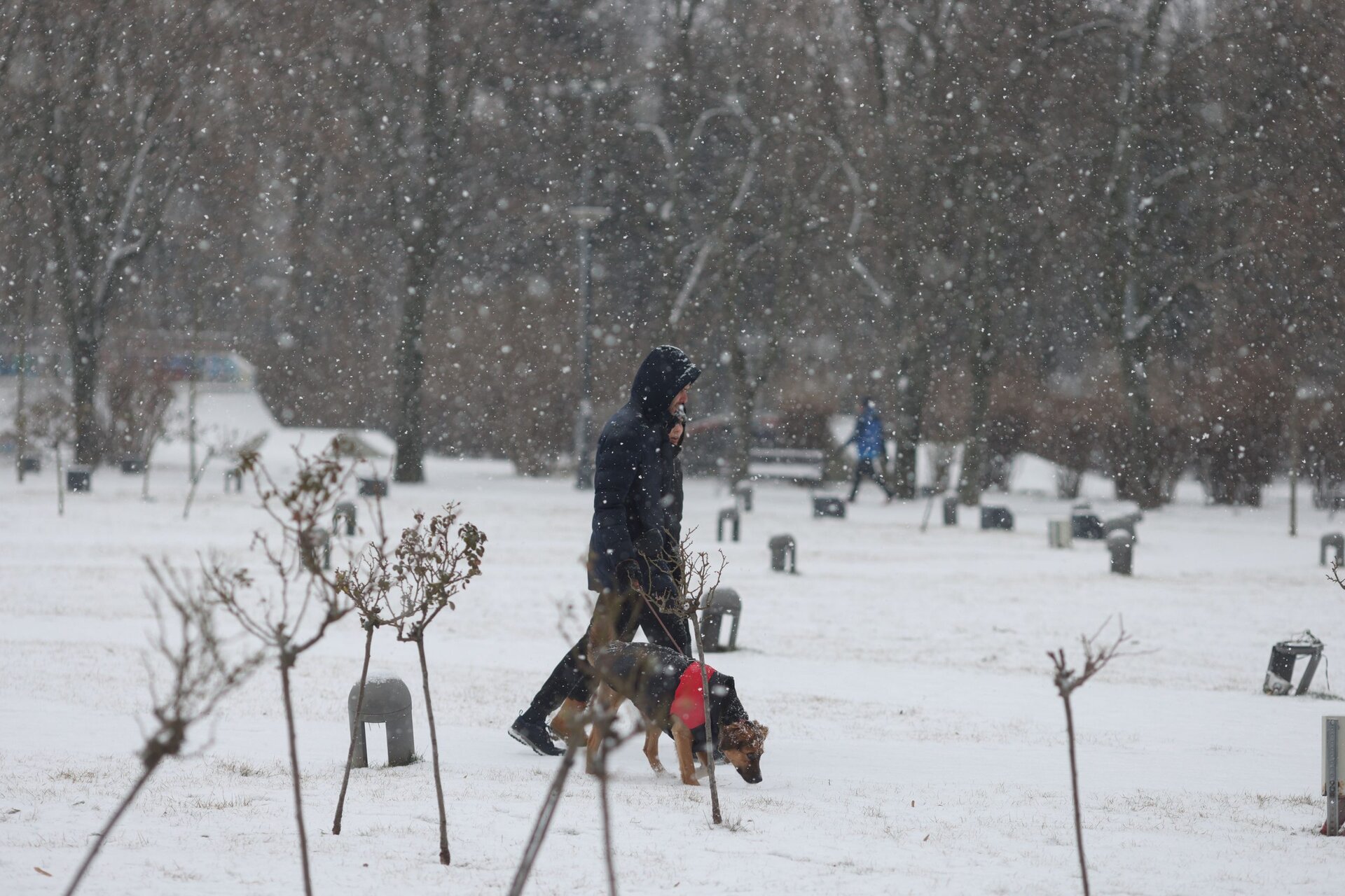 Cod galben și portocaliu de ninsori în România: Meteorologii avertizează până marți dimineață Administrația Națională de Meteorologie (ANM) a emis, duminică, un cod galben de ninsori, lapoviță și ploi, valabil până marți dimineața în majoritatea regiunilor țării
