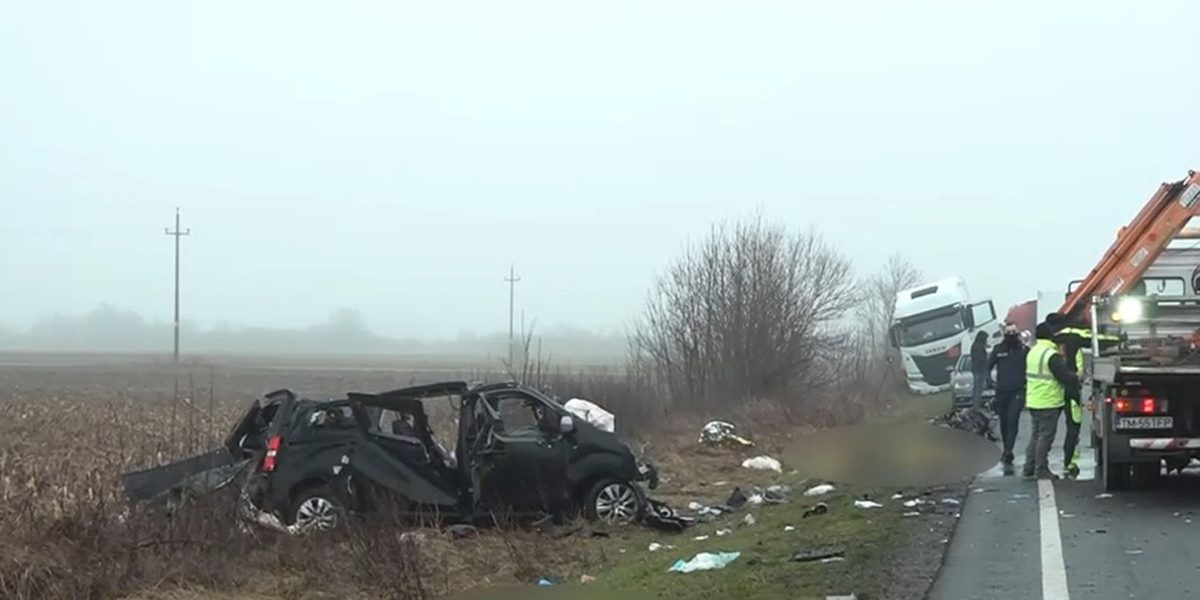 OGMxY2M5NGY4M2MxYjU5M2M4ZDQxYTZiYmEw.thumb_.jpg - ReactMedia