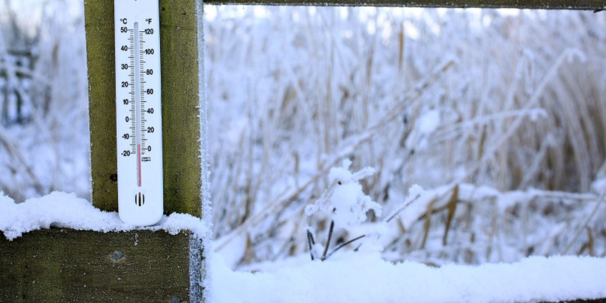 PTYzMCZ6Yz0xJmhhc2g9ZGJmNDVhNzE3MWJjNmQ0N2RiNTUwZTYwMWY5YzdlOTM.thumb_.jpg - ReactMedia