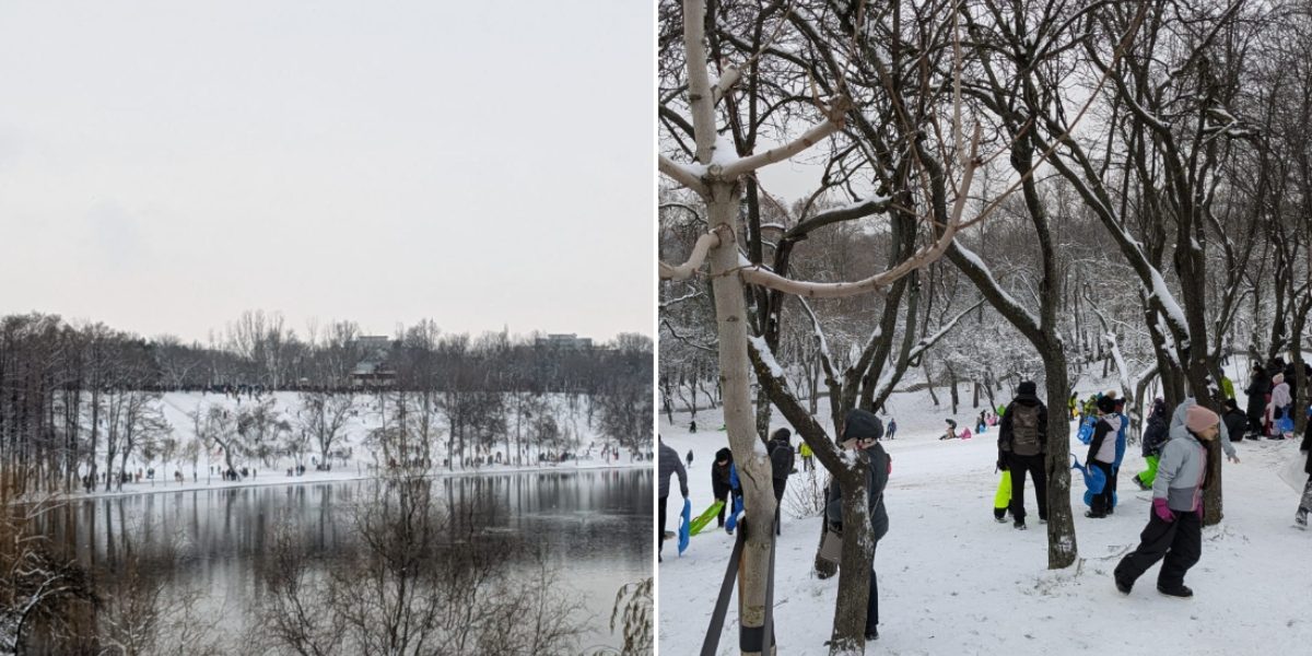 Parcul-Tineretului-partie.jpg - ReactMedia