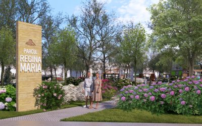 R_Intrare-scaled.jpg - ReactMedia