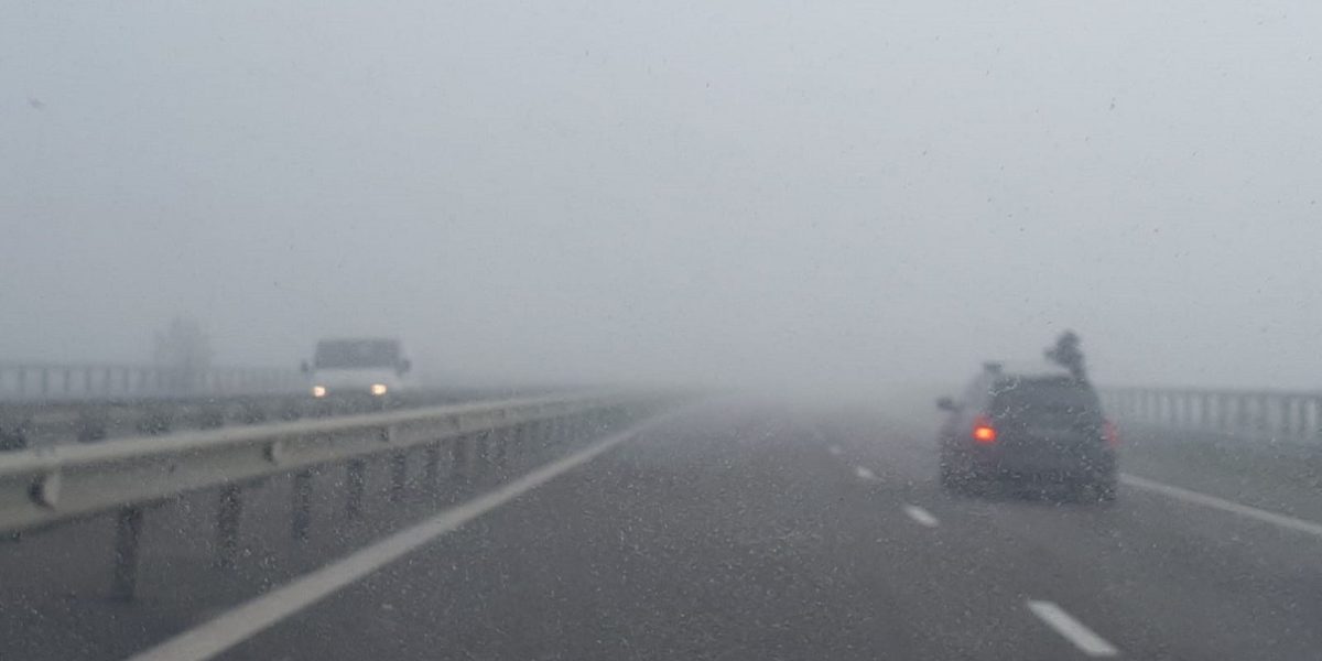 WhatsApp-Image-2020-12-01-at-13.12.54.jpeg - ReactMedia