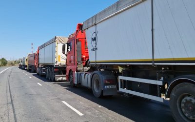 WhatsApp-Image-2023-08-03-at-19.03.16-1.jpeg - ReactMedia