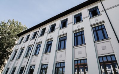 WhatsApp-Image-2024-11-05-at-14.00.17.jpeg - ReactMedia