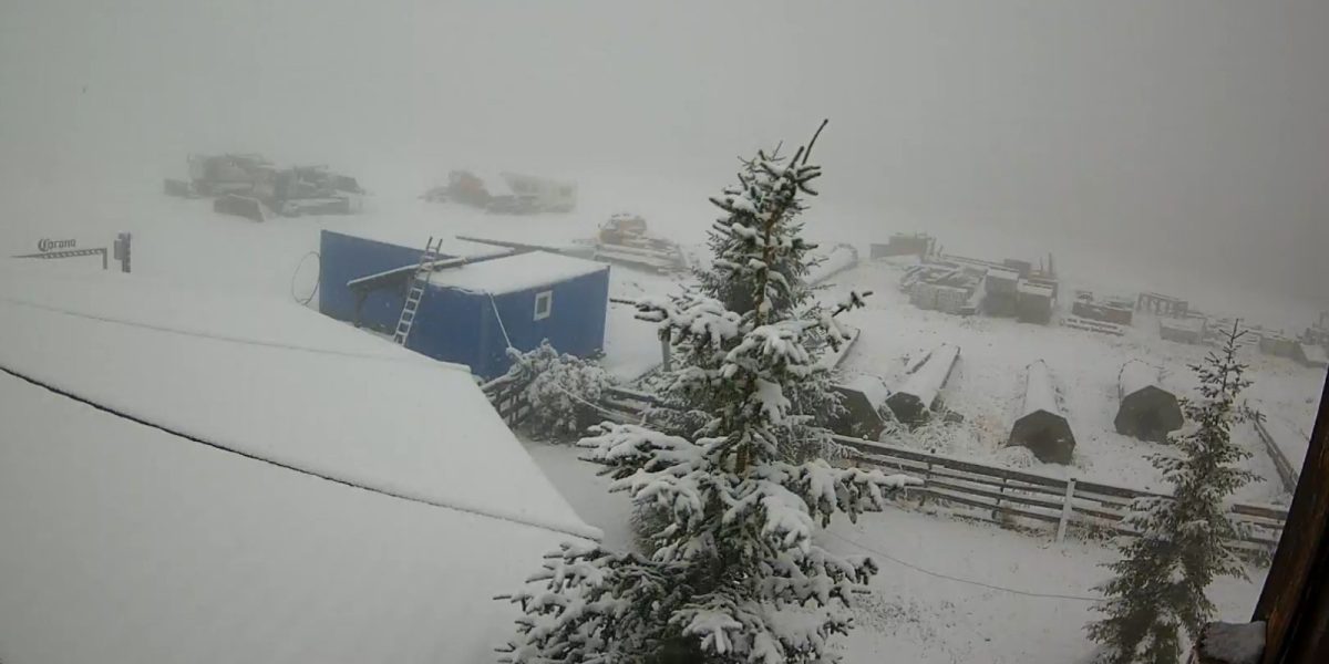 WhatsApp-Image-2025-09-29-at-10.14.41.jpeg - ReactMedia