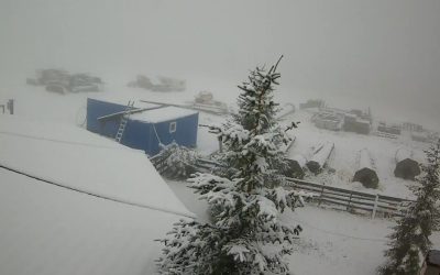 WhatsApp-Image-2025-09-29-at-10.14.41.jpeg - ReactMedia