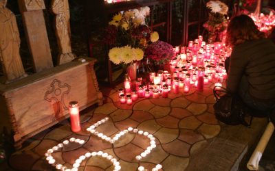 aD02MzAmemM9MSZoYXNoPWQzMzAzMmQ4MmY1YWEyNDY2NzgxNGFlOGM2NzAxYmQz.thumb_.jpg - ReactMedia