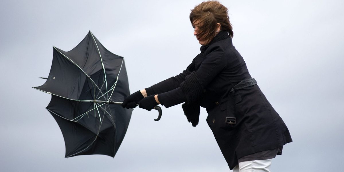 aGFzaD0zNDUyYjgxN2M5Nzk2MDIxODQ2YmEwNDc0ODYzN2MyMg.thumb_.jpg - ReactMedia