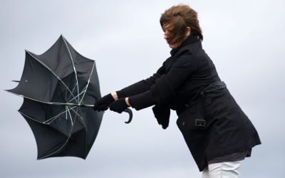 aGFzaD0zNDUyYjgxN2M5Nzk2MDIxODQ2YmEwNDc0ODYzN2MyMg.thumb_.jpg - ReactMedia