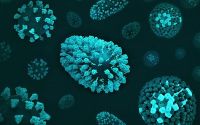 admin-ajax-5-1.jpeg - ReactMedia