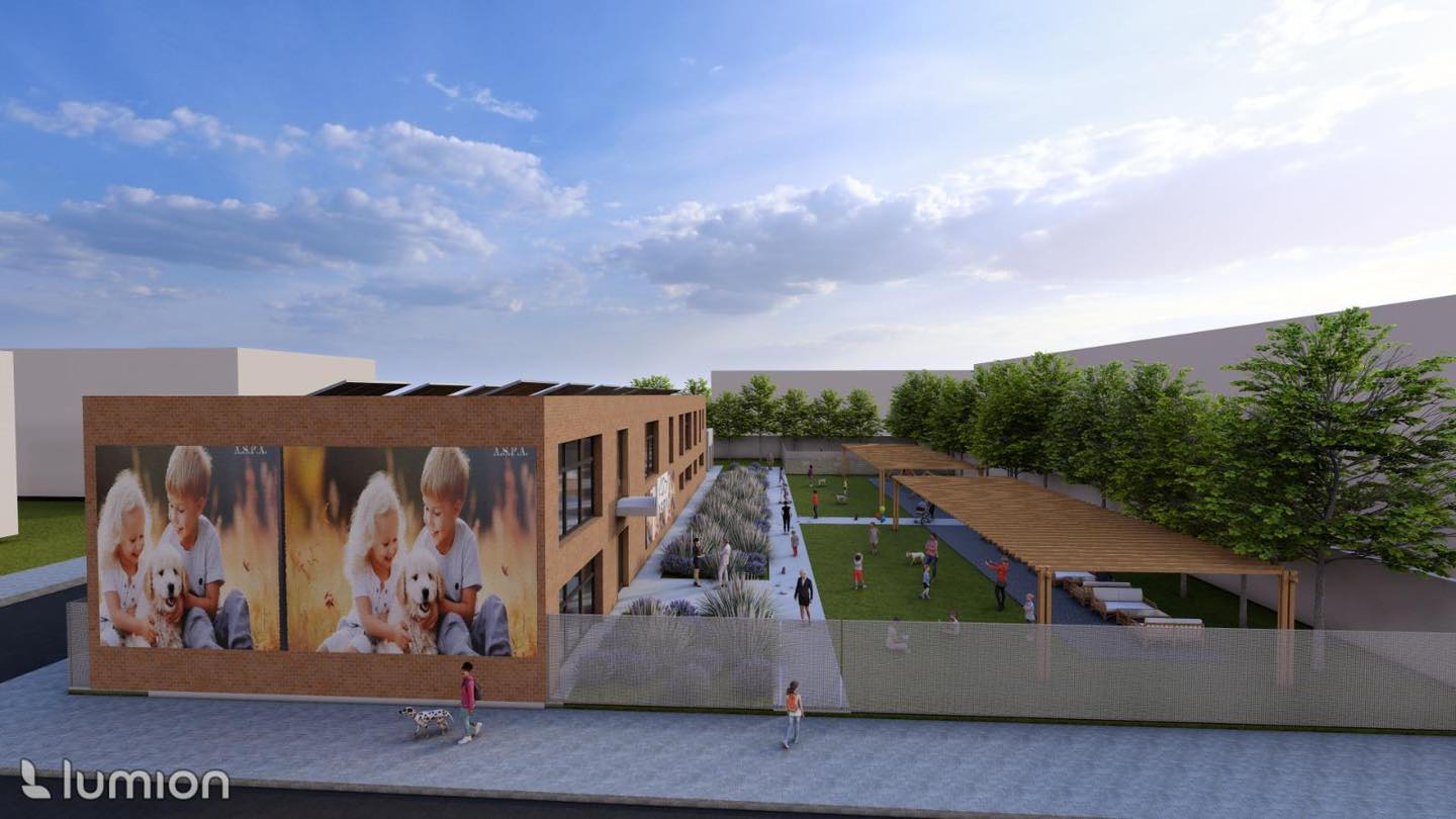 Un nou centru de urgențe veterinare în Sectorul 3 al Capitalei, menit să transforme modul în care administrația și voluntarii gestionează protecția animalelor, intră în linie dreaptă