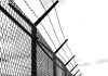 barbed-wire-g01ed0ce60_1280-e1673949380464.jpg - ReactMedia