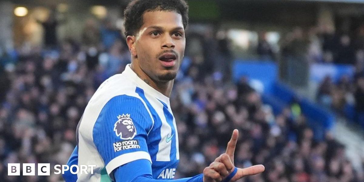 bed7fdc0-e8bb-11f0-a780-1d7a0a9fc5d9.jpg - ReactMedia