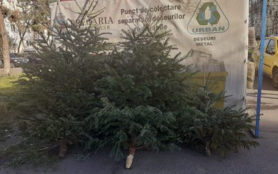 brazi.jpeg - ReactMedia