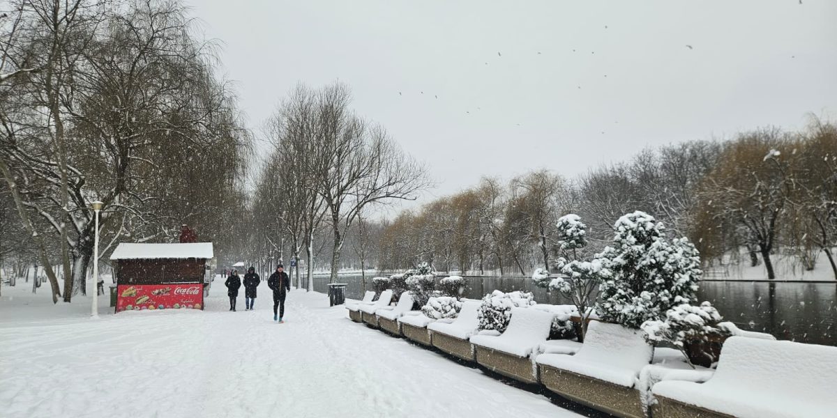 bucuresti-zapada-parc.jpeg - ReactMedia