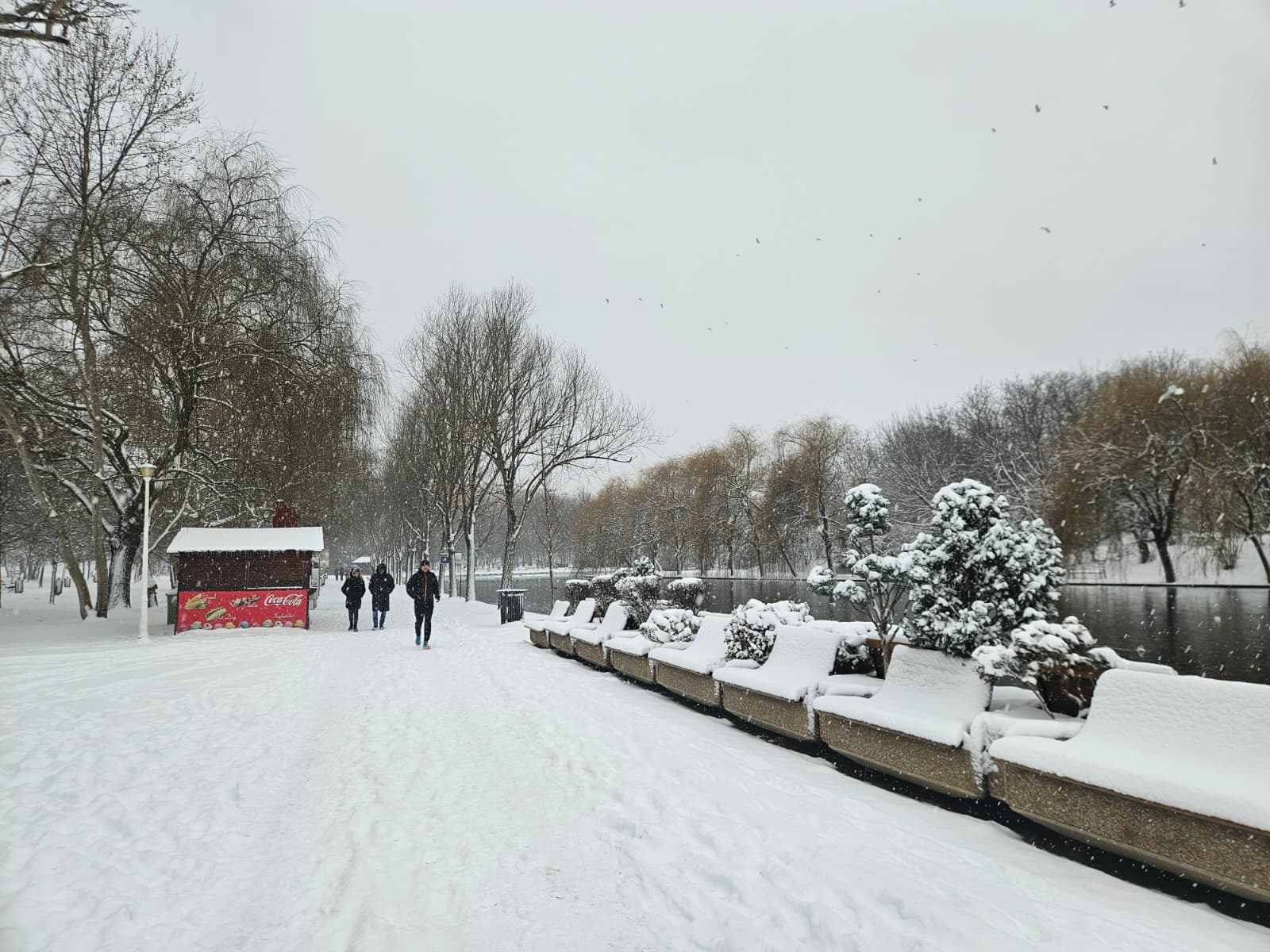 București, acoperit de zăpadă: Gerul își face simțită prezența Bucureștiul a fost îngenuncheat, duminică, sub un strat de zăpadă consistent, estimat de meteorologi la 10 centimetri