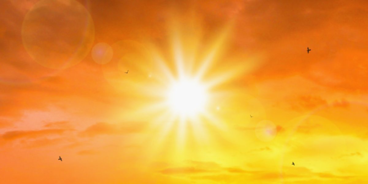 caldura-canicula-soare-seceta-incalzire-globala-schimbari-climatice.jpg - ReactMedia