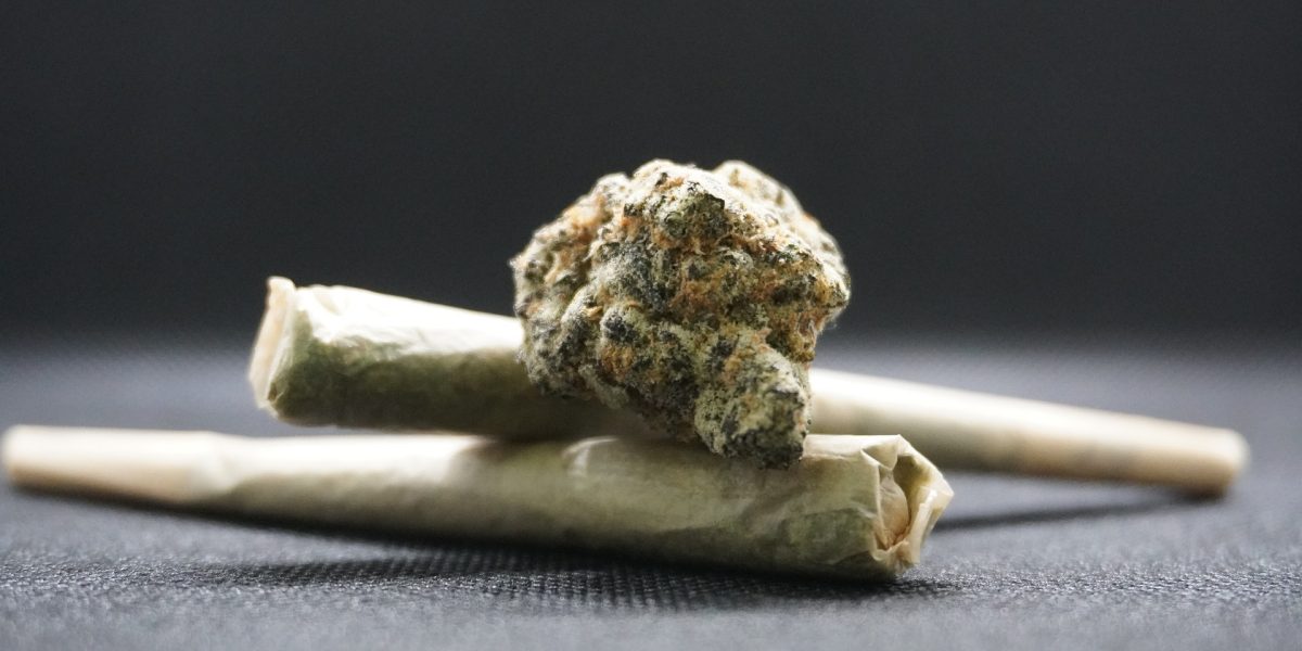 canabis-marijuana-bumps-8054140_1920.jpg - ReactMedia