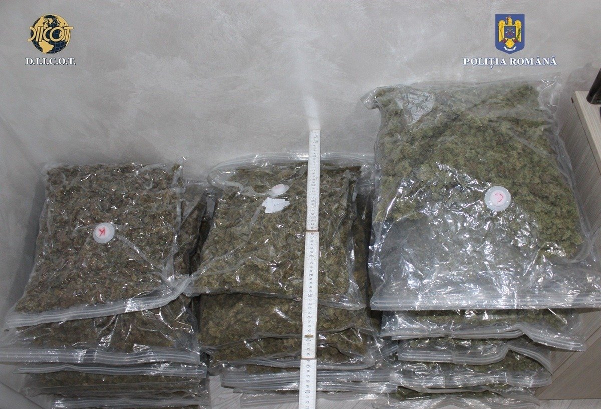 Vrancea, în centrul unui nou scandal de trafic de droguri: 15 kilograme de cannabis descoperite în punctul de lucru al unei firme de curierat Poliția Vrancea anunță o descoperire șocantă într-un caz de trafic internațional de droguri, după ce, în cadrul unei investigații solide, a fost confiscată o cantitate impresionantă de cannabis