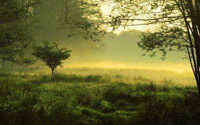 dreamstime_m_4953634.jpg - ReactMedia