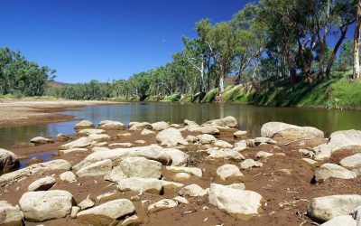 dreamstime_s_10089242.jpg - ReactMedia