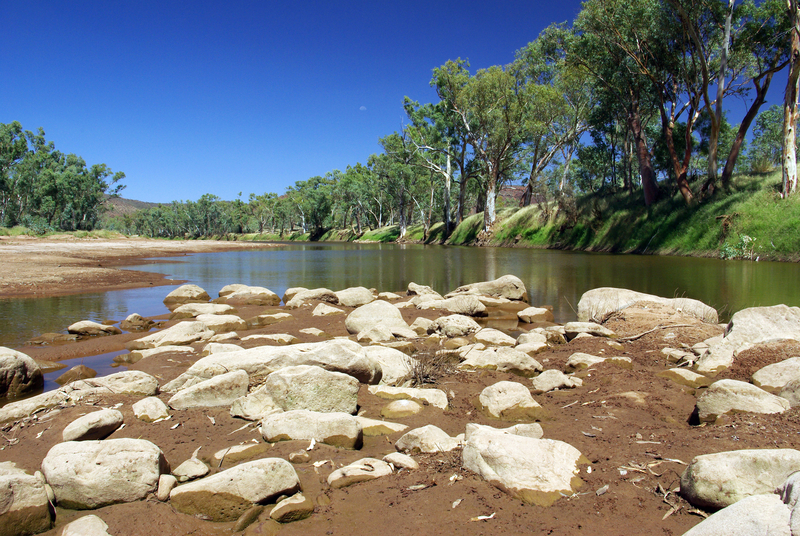 dreamstime_s_10089242.jpg - ReactMedia