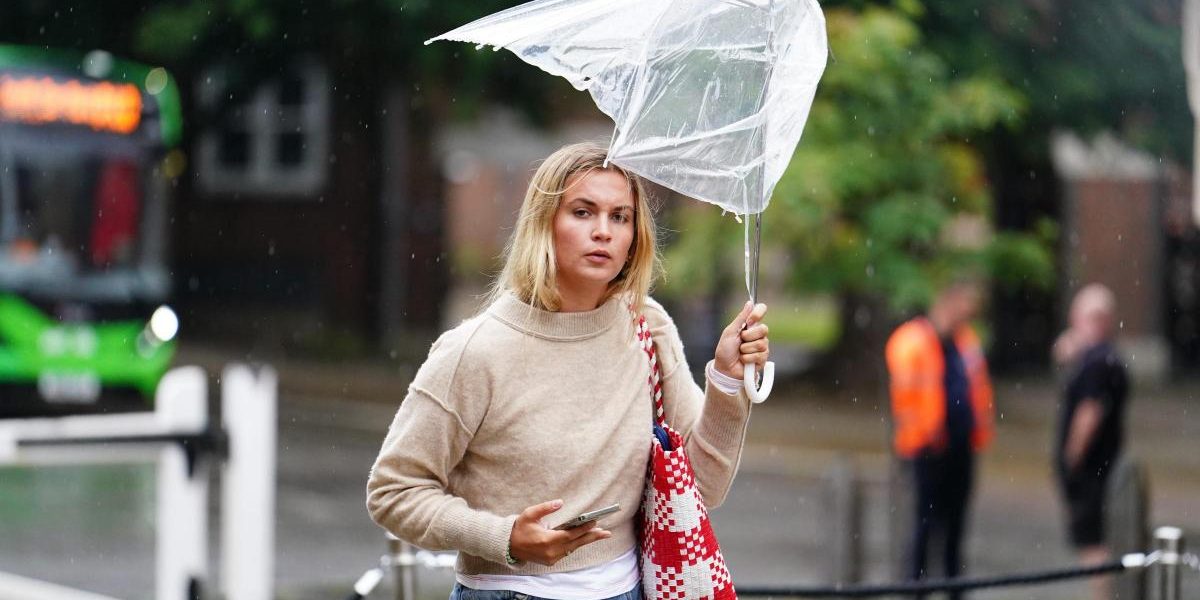 e462f1018b2a7a141def685c5f3b587e.jpeg - ReactMedia