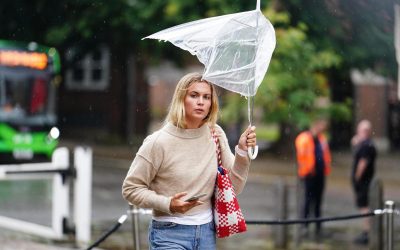 e462f1018b2a7a141def685c5f3b587e.jpeg - ReactMedia