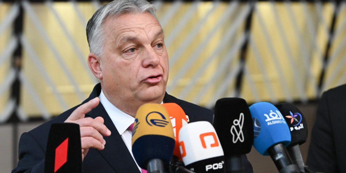 ea81f9bf-a398-499f-b2cd-c13316e5a976-e1702633927951.jpg - ReactMedia