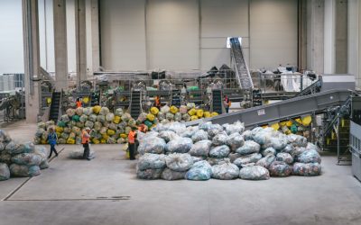 edi1142.jpg - ReactMedia