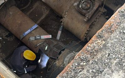 faracaldura-e1769606550197.jpg - ReactMedia