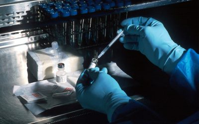 genetica.jpg - ReactMedia