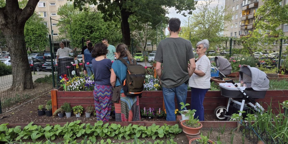 gradinile-comunitare1-debrecen.jpg - ReactMedia