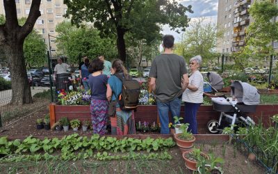 gradinile-comunitare1-debrecen.jpg - ReactMedia