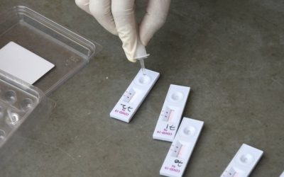 img-1-1.jpg - ReactMedia