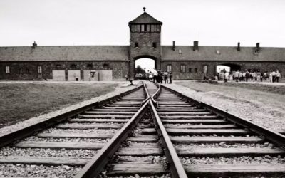 instagram-zdjecia-auschwitz-birkenau-1180x541-1-1000x485.jpg - ReactMedia