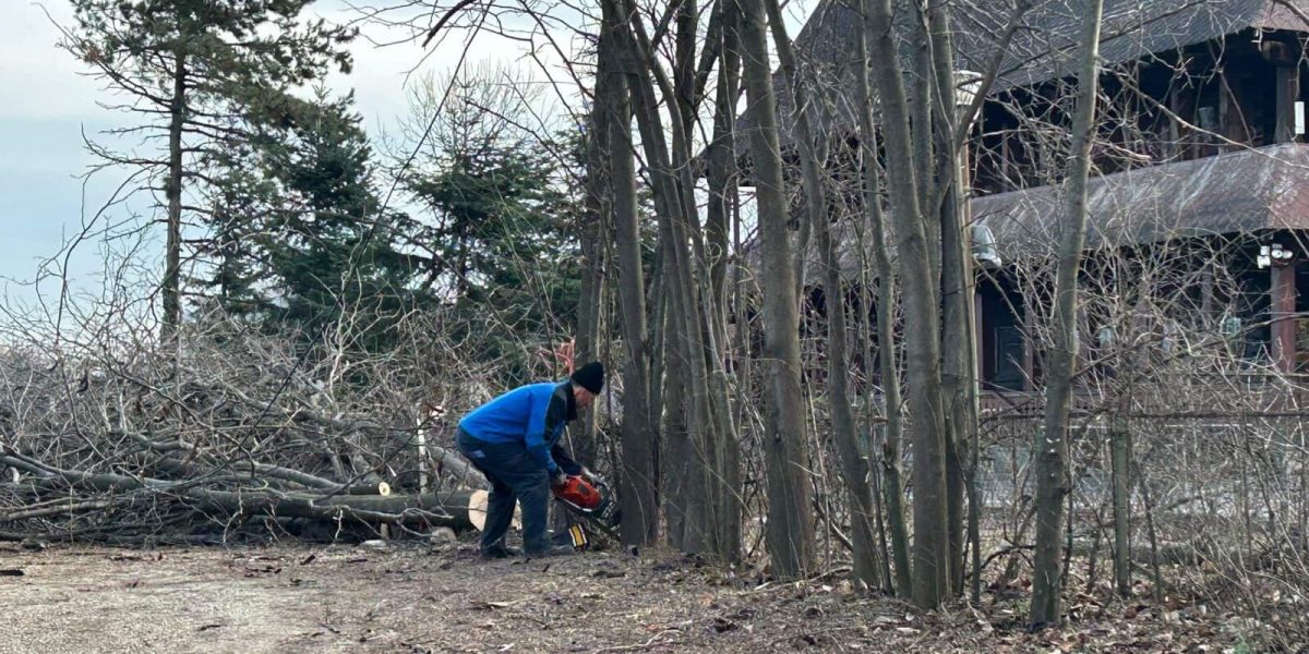 ior-aprc-1.jpg - ReactMedia