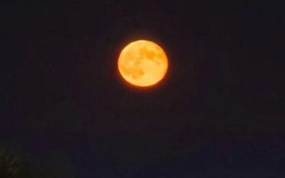 luna-4-e1767379918868.jpg - ReactMedia