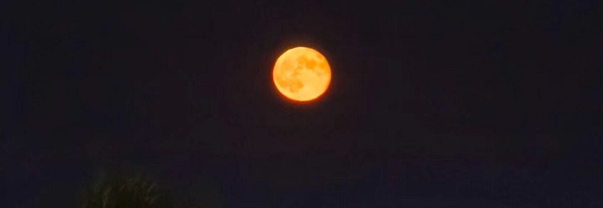 luna-4-e1767379918868.jpg - ReactMedia