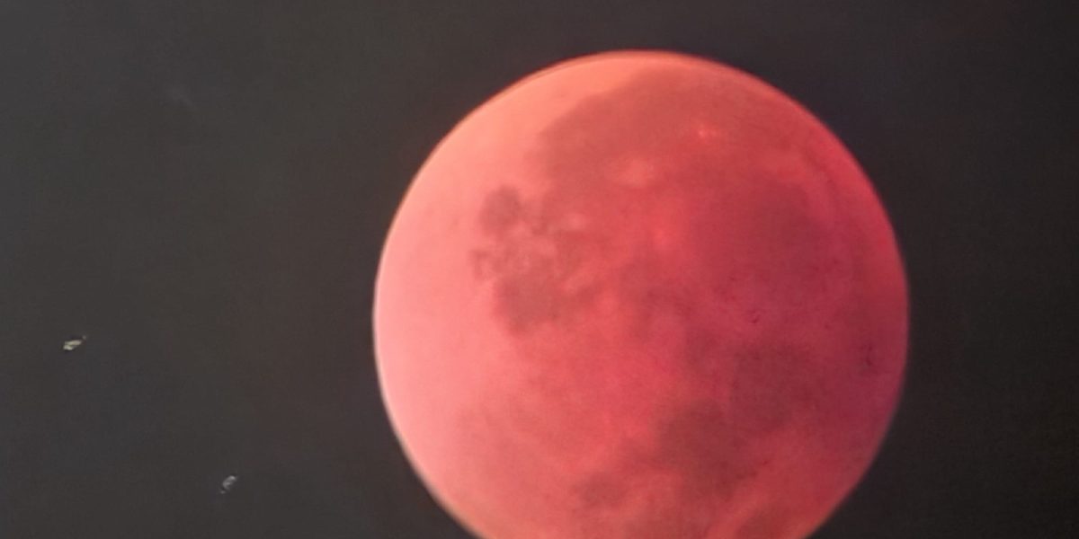 luna-sangerieeclipsa-3.jpeg - ReactMedia