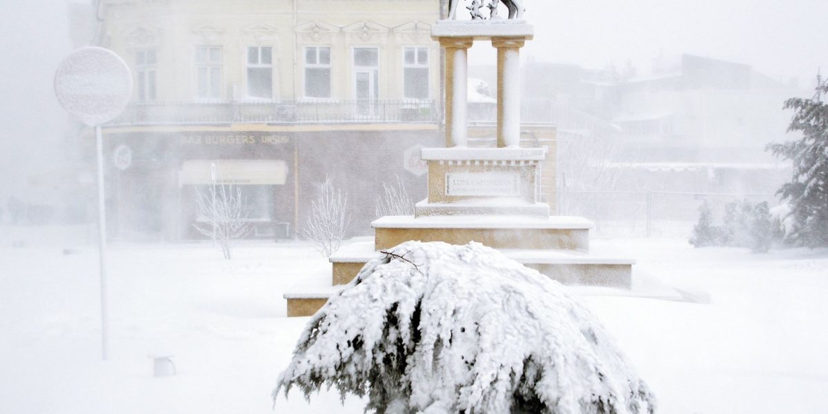 lupoaica-viscol-foto-ovidiu-oprea.jpg - ReactMedia