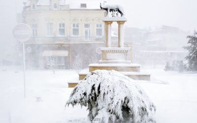 lupoaica-viscol-foto-ovidiu-oprea.jpg - ReactMedia