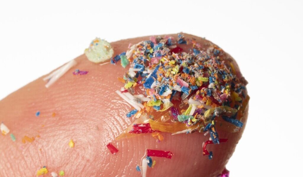 microplastice-e1724489538371.jpg - ReactMedia