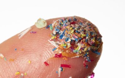 microplastice-e1724489538371.jpg - ReactMedia