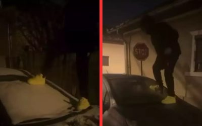 parbriz-spart-tik-tok.jpg - ReactMedia