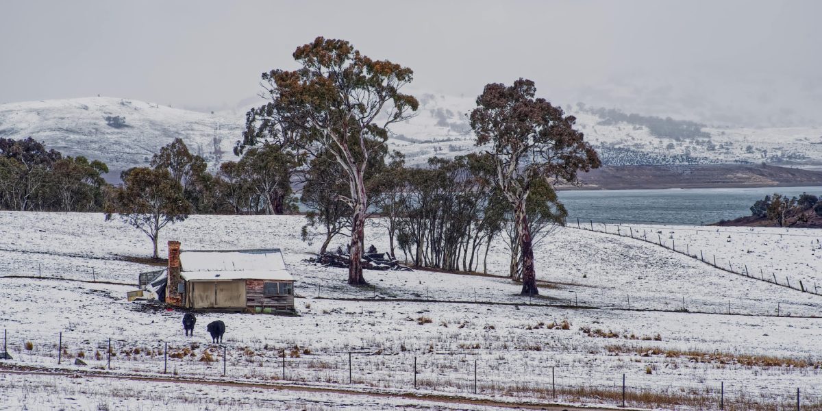 pexels-mark-thomas-2149938474-30979871.jpg - ReactMedia