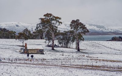 pexels-mark-thomas-2149938474-30979871.jpg - ReactMedia