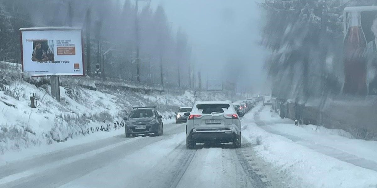 poza-art.jpeg - ReactMedia