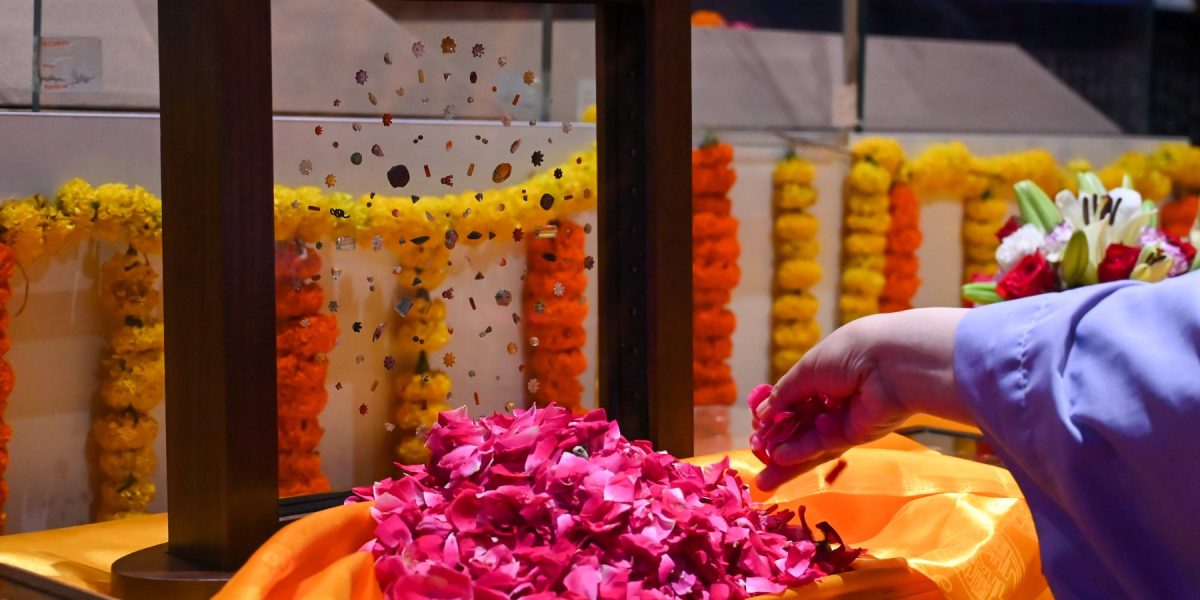 profimedia-1026803337.jpg - ReactMedia