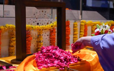 profimedia-1026803337.jpg - ReactMedia